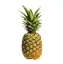 Picture of Anaros (Pineapple)
