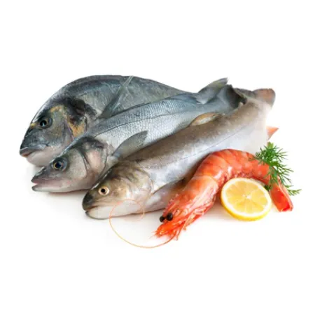 Picture for category Fresh Fish