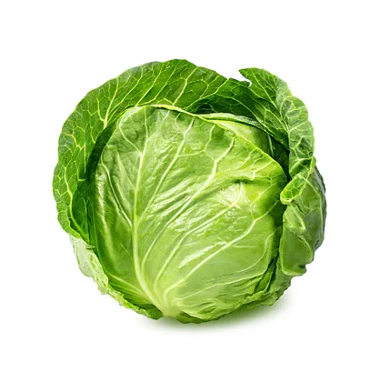 Picture of Cabbage, Green