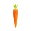 Picture of Carrot, Jumbo